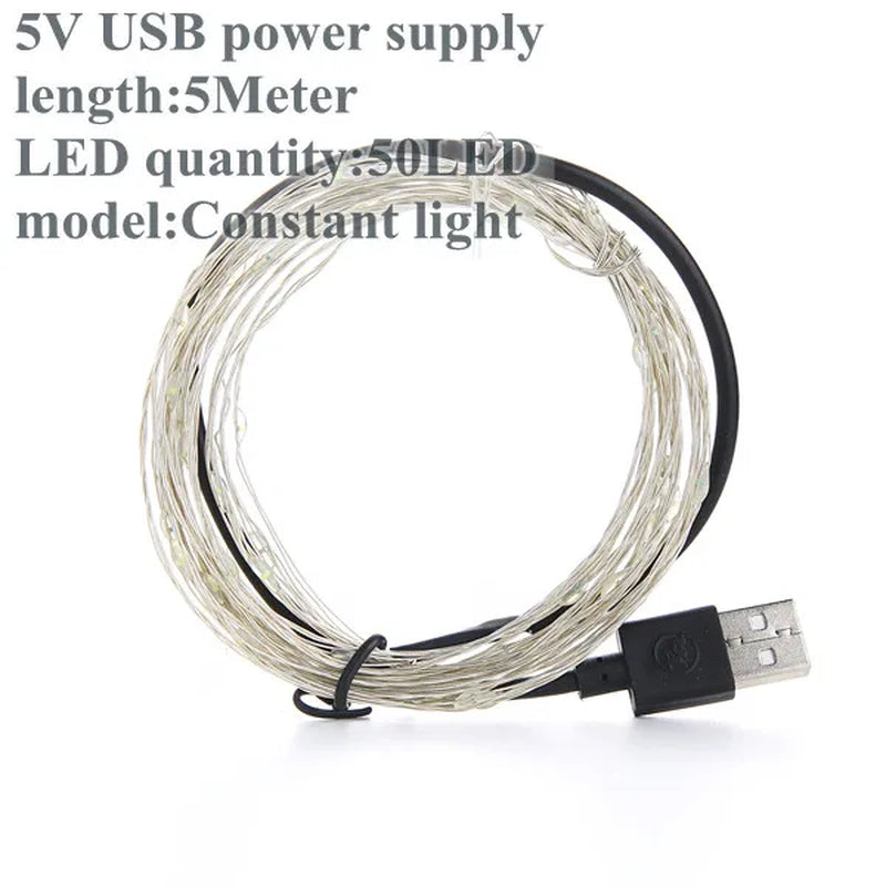Fairy Lights Led Garland Holiday String Light Wire DIY 2M 10M USB Battery Powered Outdoor Cooper Christmas Wedding Party Decor